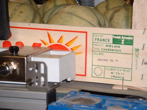 Marquage plateau melons