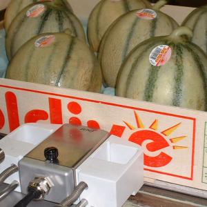 1200x720 melons